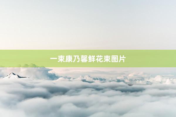 一束康乃馨鲜花束图片